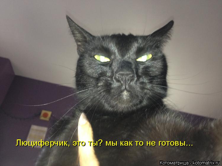 Котоматрица: Люциферчик, это ты? мы как то не готовы... Люциферчик, это ты? мы как то не готовы...
