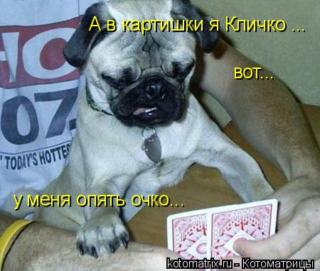 А в картишки я Кличко ... вот... у меня опять очко...... Котоматрица: А в картишки я Кличко ... вот... у меня опять очко...
