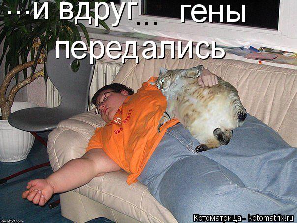 ... и вдруг гены передались ...... Котоматрица: ... и вдруг гены передались ...