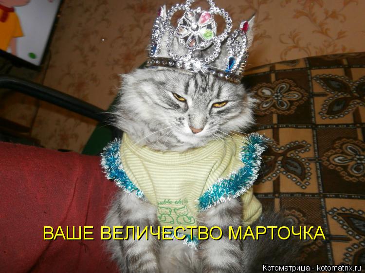ВАШЕ ВЕЛИЧЕСТВО МАРТОЧКА... Котоматрица: ВАШЕ ВЕЛИЧЕСТВО МАРТОЧКА