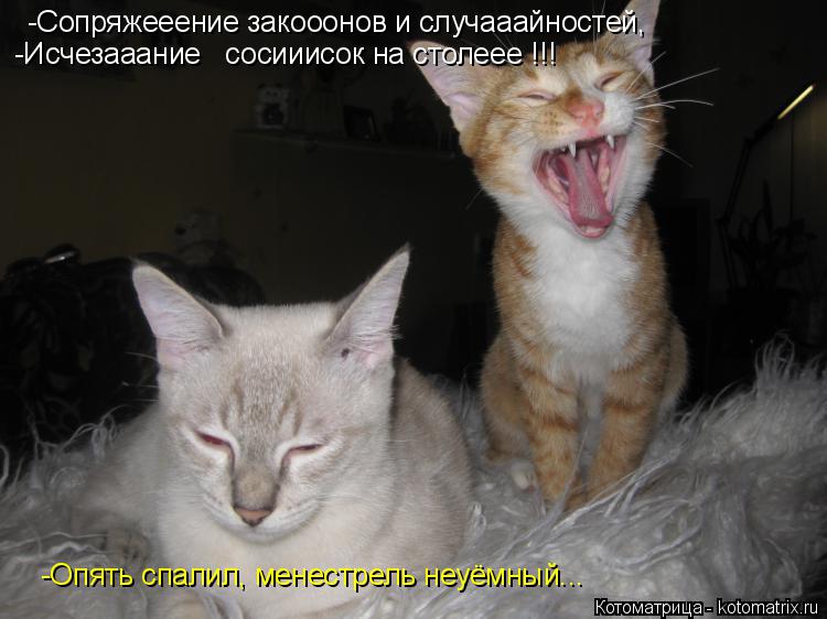 -Сопряжееение закооонов и случааайностей, -Исчезааание сосииисок на столеее !!! -Опять спалил, мене... Котоматрица: -Сопряжееение закооонов и случааайностей, -Исчезааание сосииисок на столеее !!! -Опять спалил, менестрель неуёмный...