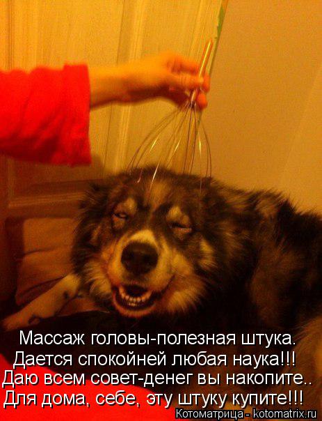 Котоматрица: Массаж головы-полезная штука. Дается спокойней любая наука!!! Даю всем совет-денег вы накопите.. Для дома, себе, эту штуку купите!!!