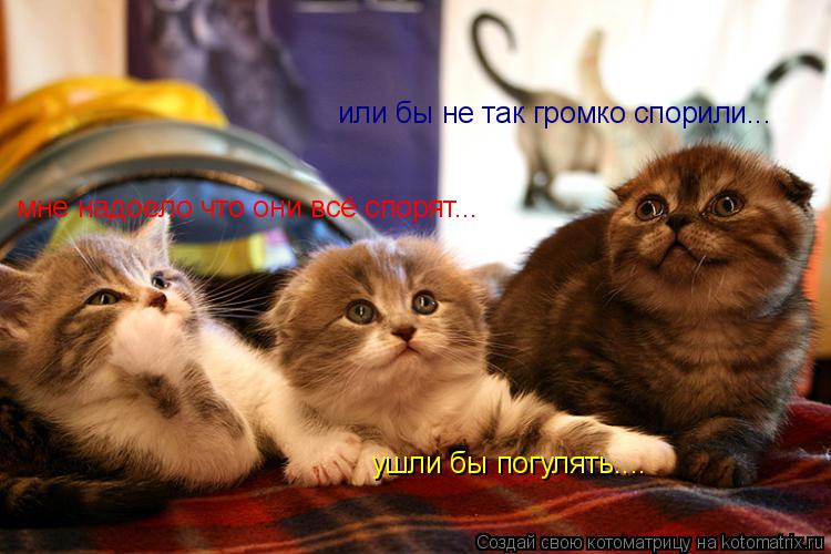 мне надоело что они всё спорят... ушли бы погулять.... или бы не так громко спорили...... Котоматрица: мне надоело что они всё спорят... ушли бы погулять.... или бы не так громко спорили...