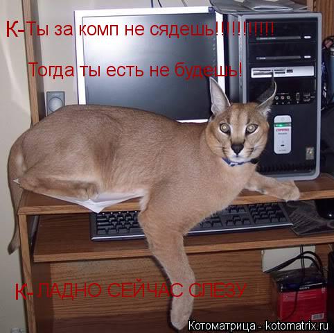 Ты за комп не сядешь!!!!!!!!!!! Тогда ты есть не будешь! ЛАДНО СЕЙЧАС СЛЕЗУ К- К-... Котоматрица: Ты за комп не сядешь!!!!!!!!!!! Тогда ты есть не будешь! ЛАДНО СЕЙЧАС СЛЕЗУ К- К-