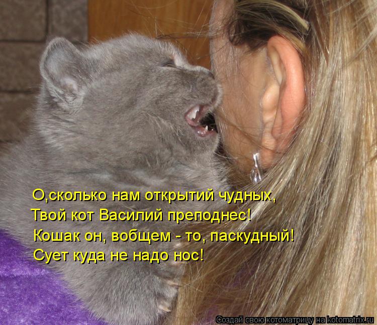 Котоматрица: О,сколько нам открытий чудных, Твой кот Василий преподнес! Кошак он, вобщем - то, паскудный! Сует куда не надо нос!