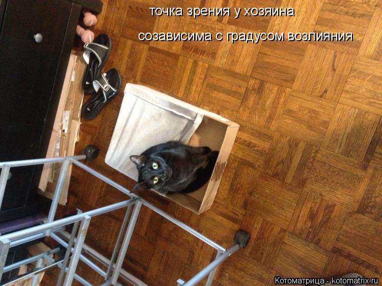 точка зрения у хозяина созависима с градусом возлияния... Котоматрица: точка зрения у хозяина созависима с градусом возлияния