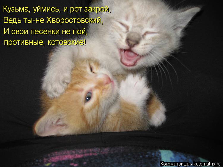 Котоматрица: Кузьма, уймись, и рот закрой, Ведь ты-не Хворостовский, Ведь ты-не Хворостовский, И свои песенки не пой, противные, котовские!
