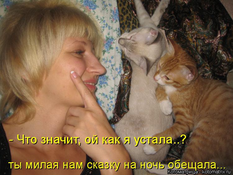 - Что значит, ой как я устала..? ты милая нам сказку на ночь обещала...... Котоматрица: - Что значит, ой как я устала..? ты милая нам сказку на ночь обещала...