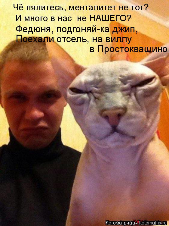 Котоматрица: Чё пялитесь, менталитет не тот? И много в нас  не НАШЕГО? Федюня, подгоняй-ка джип,  Поехали отсель, на виллу  в Простоквашино.
