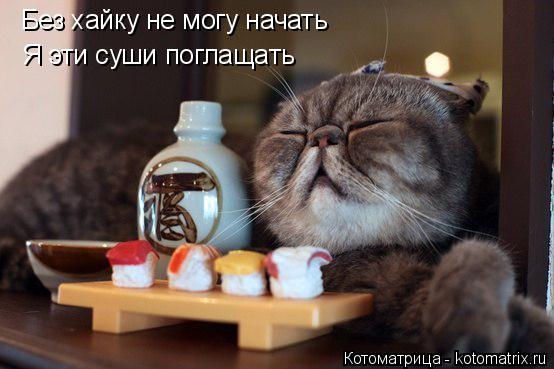 Без хайку не могу начать Я эти суши поглащать... Котоматрица: Без хайку не могу начать Я эти суши поглащать