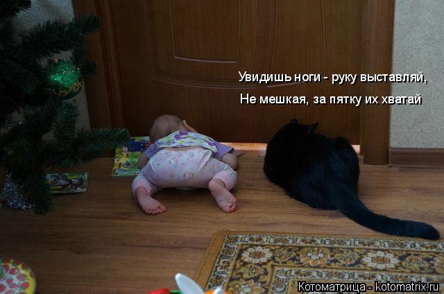 Увидишь ноги - руку выставляй, Не мешкая, за пятку их хватай... Котоматрица: Увидишь ноги - руку выставляй, Не мешкая, за пятку их хватай