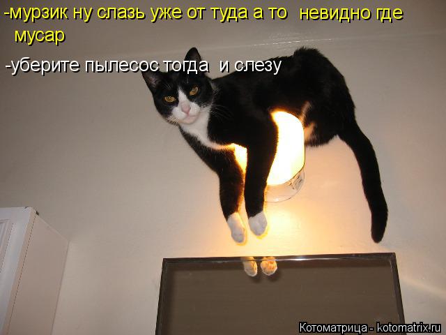 -уберите пылесос тогда и слезу -мурзик ну слазь уже от туда а то невидно где мусар... Котоматрица: -уберите пылесос тогда и слезу -мурзик ну слазь уже от туда а то невидно где мусар