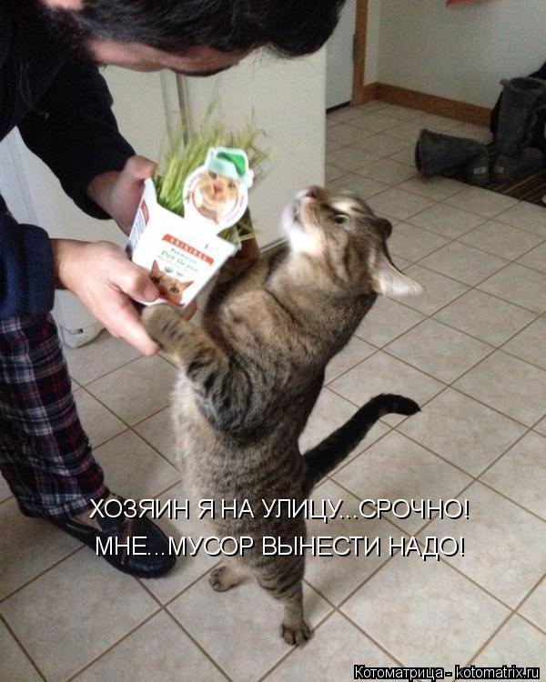 Котоматрица: ХОЗЯИН Я НА УЛИЦУ...СРОЧНО! МНЕ...МУСОР ВЫНЕСТИ НАДО!