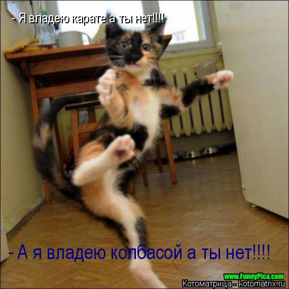 Я владею карате а ты нет!!!! А я владею колбасой а ты нет!!!! - -... Котоматрица: Я владею карате а ты нет!!!! А я владею колбасой а ты нет!!!! - -