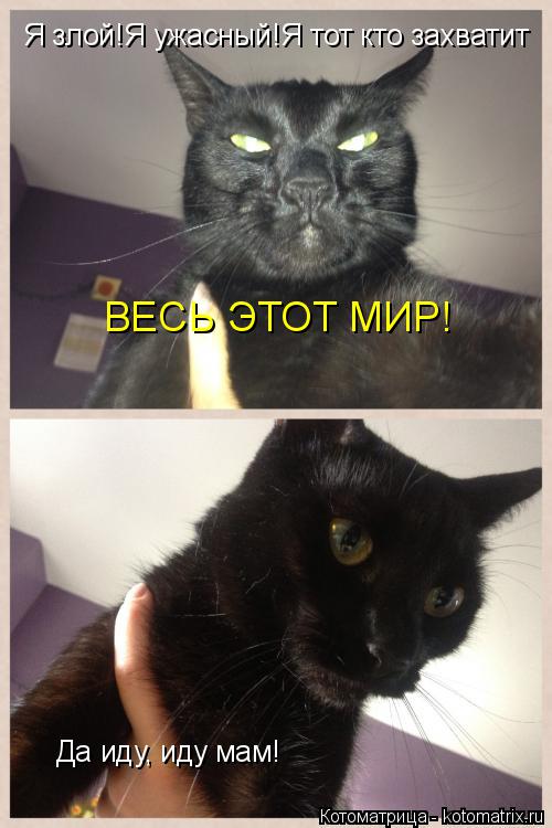 Котоматрица: Я злой!Я ужасный!Я тот кто захватит  ВЕСЬ ЭТОТ МИР! Да иду, иду мам!
