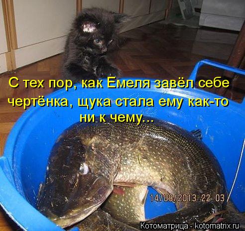 Котоматрица: С тех пор, как Емеля завёл себе чертёнка, щука стала ему как-то ни к чему...