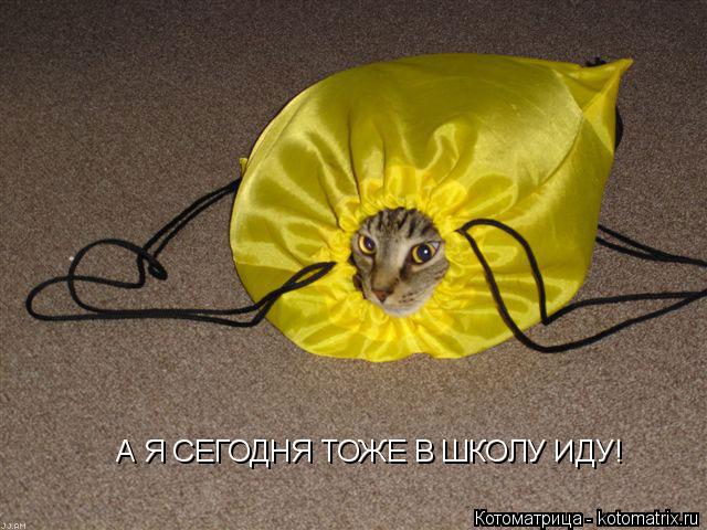 Котоматрица: А Я СЕГОДНЯ ТОЖЕ В ШКОЛУ ИДУ!