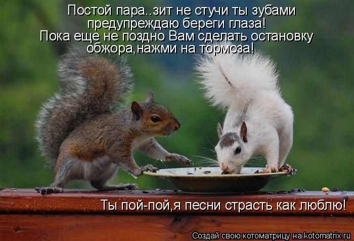 Постой пара..зит не стучи ты зубами предупреждаю береги глаза! Пока еще не поздно Вам сделать останов... Котоматрица: Постой пара..зит не стучи ты зубами предупреждаю береги глаза! Пока еще не поздно Вам сделать остановку обжора,нажми на тормоза! Ты пой-пой,я
