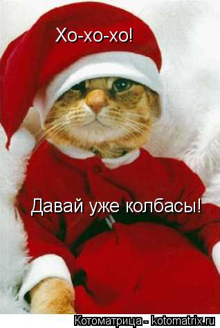 Котоматрица: Хо-хо-хо!  Давай уже колбасы!