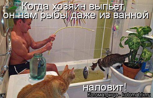 Когда хозяин выпьет, он нам рыбы даже из ванной наловит!... Котоматрица: Когда хозяин выпьет, он нам рыбы даже из ванной наловит!