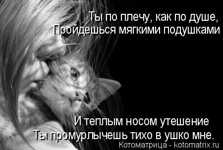 Котоматрица: Ты по плечу, как по душе, Пройдешься мягкими подушками И теплым носом утешение Ты промурлычешь тихо в ушко мне.