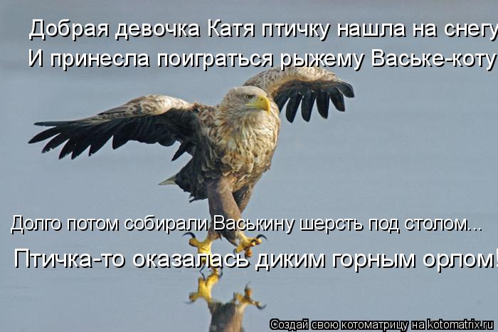 Добрая девочка Катя птичку нашла на снегу И принесла поиграться рыжему Ваське-коту Долго потом собира... Котоматрица: Добрая девочка Катя птичку нашла на снегу И принесла поиграться рыжему Ваське-коту Долго потом собирали Васькину шерсть под столом... Птичк
