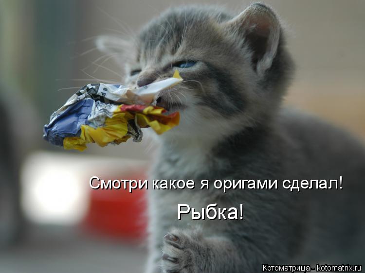 Смотри какое я оригами сделал! Рыбка!... Котоматрица: Смотри какое я оригами сделал! Рыбка!