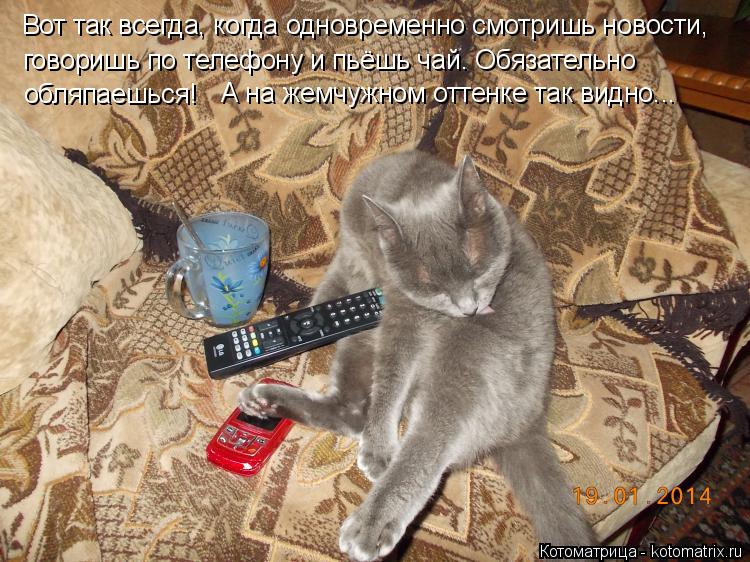 Вот так всегда, когда одновременно смотришь новости, говоришь по телефону и пьёшь чай. Обязательно ... Котоматрица: Вот так всегда, когда одновременно смотришь новости, говоришь по телефону и пьёшь чай. Обязательно обляпаешься! А на жемчужном оттенке так