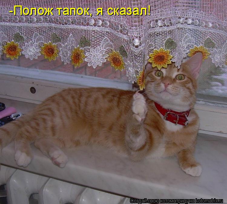 Котоматрица: -Полож тапок, я сказал!