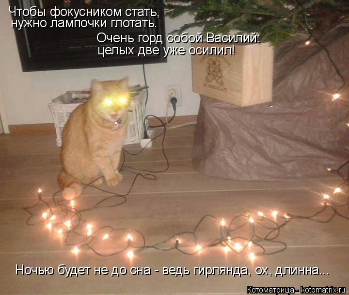 Чтобы фокусником стать, нужно лампочки глотать. Очень горд собой Василий: целых две уже осилил! Ноч... Котоматрица: Чтобы фокусником стать, нужно лампочки глотать. Очень горд собой Василий: целых две уже осилил! Ночью будет не до сна - ведь гирлянда, ох, дл