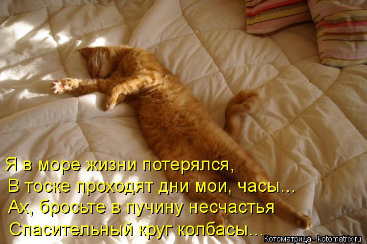 Котоматрица: Я в море жизни потерялся, В тоске проходят дни мои, часы… Ах, бросьте в пучину несчастья Спасительный круг колбасы…