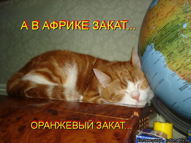 Котоматрица: А В АФРИКЕ ЗАКАТ... А В АФРИКЕ ЗАКАТ... ОРАНЖЕВЫЙ ЗАКАТ... ОРАНЖЕВЫЙ ЗАКАТ...