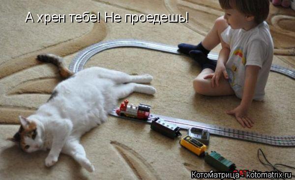Котоматрица: А хрен тебе! Не проедешь!