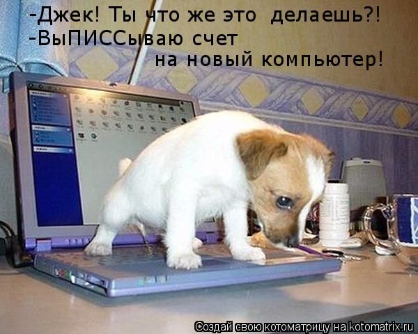 Котоматрица: -Джек! Ты что же это  делаешь?! -ВыПИССываю счет  на новый компьютер!