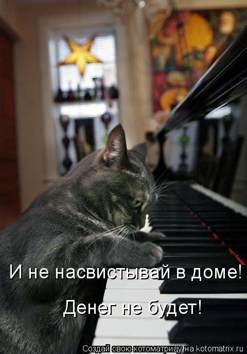 И не насвистывай в доме! Денег не будет!... Котоматрица: И не насвистывай в доме! Денег не будет!