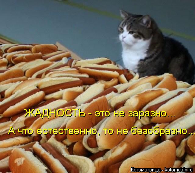 ЖАДНОСТЬ - это не заразно... А что естественно, то не безобразно...... Котоматрица: ЖАДНОСТЬ - это не заразно... А что естественно, то не безобразно...