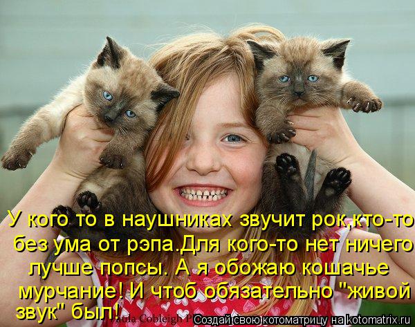Котоматрица: У кого то в наушниках звучит рок,кто-то без ума от рэпа.Для кого-то нет ничего лучше попсы. А я обожаю кошачье мурчание! И чтоб обязательно "жи
