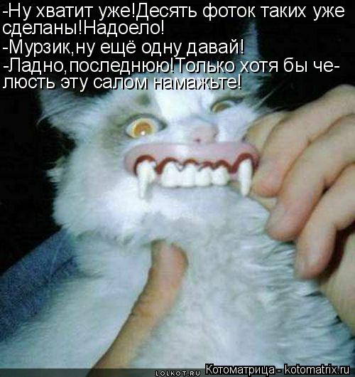 Котоматрица: -Ну хватит уже!Десять фоток таких уже сделаны!Надоело! -Мурзик,ну ещё одну давай! -Ладно,последнюю!Только хотя бы че- люсть эту салом намажьте