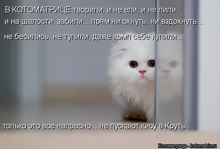 В КОТОМАТРИЦЕ творили, и не ели, и не пили, не бесились, не тупили, даже комп себе купили... и на ша... Котоматрица: В КОТОМАТРИЦЕ творили, и не ели, и не пили, не бесились, не тупили, даже комп себе купили... и на шалости забили... прям ни охнуть, ни вздохнуть..