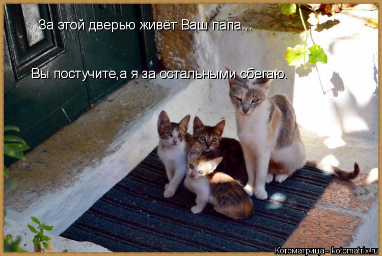 За этой дверью живёт Ваш папа... Вы постучите,а я за остальными сбегаю.... Котоматрица: За этой дверью живёт Ваш папа... Вы постучите,а я за остальными сбегаю.