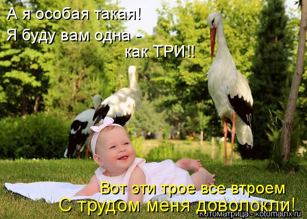 Котоматрица: А я особая такая! Я буду вам одна -  как ТРИ!! Вот эти трое все втроем С трудом меня доволокли!