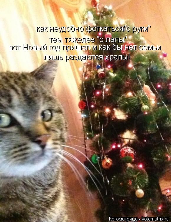 Котоматрица: как неудобно фоткаться"с руки" тем тяжелее "с лапы" вот Новый год пришел и как бы нет семьи лишь раздаются храпы!