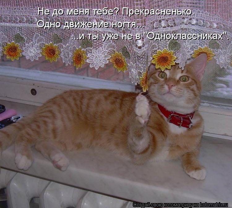 Котоматрица: Не до меня тебе? Прекрасненько. Одно движение ногтя... ...и ты уже не в "Одноклассниках".