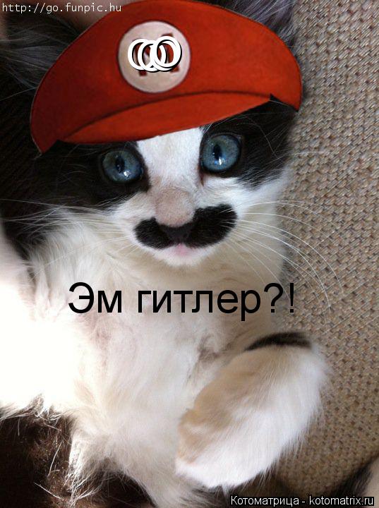 О О О О Эм гитлер?!... Котоматрица: О О О О Эм гитлер?!