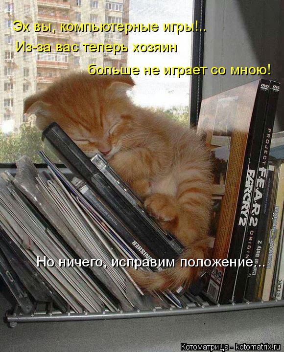 Котоматрица: Эх вы, компьютерные игры!.. Из-за вас теперь хозяин   больше не играет со мною! Но ничего, исправим положение...