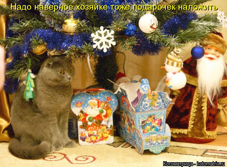 Котоматрица: Надо наверное хозяйке тоже подарочек наложить
