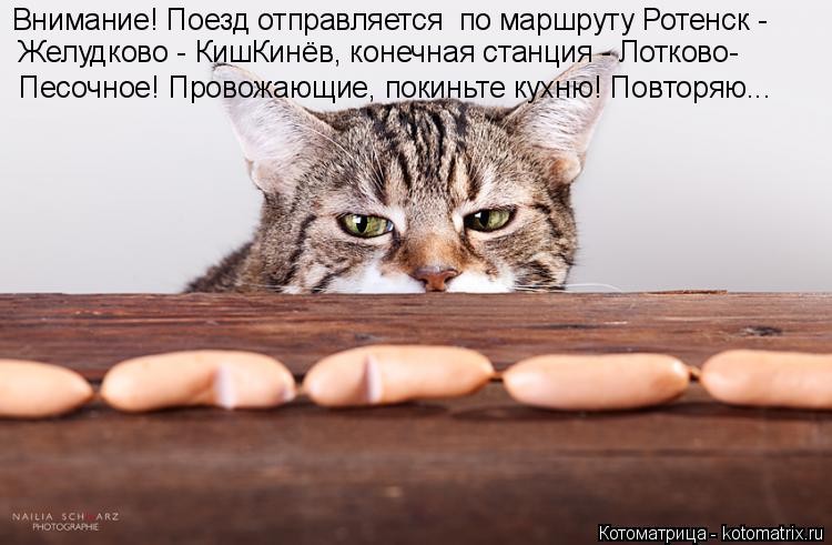 Внимание! Поезд отправляется по маршруту Ротенск - Желудково - КишКинёв, конечная станция - Лотково... Котоматрица: Внимание! Поезд отправляется по маршруту Ротенск - Желудково - КишКинёв, конечная станция - Лотково- Песочное! Провожающие, покиньте кухню!
