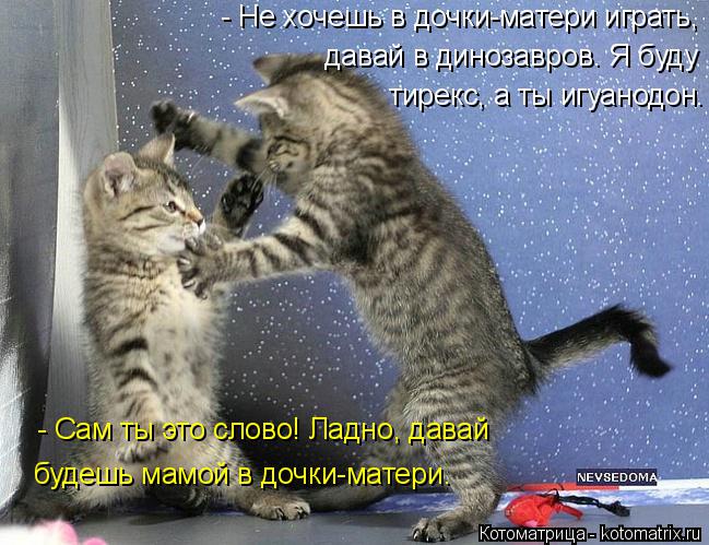 Котоматрица: - Не хочешь в дочки-матери играть,  давай в динозавров. Я буду тирекс, а ты игуанодон. - Сам ты это слово! Ладно, давай будешь мамой в дочки-мате