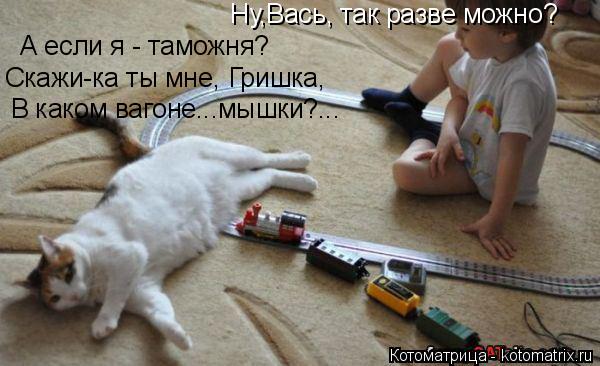 Котоматрица: Ну,Вась, так разве можно? А если я - таможня? Скажи-ка ты мне, Гришка, В каком вагоне...мышки?...