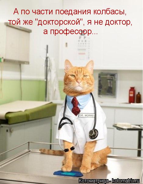 Котоматрица: А по части поедания колбасы, той же "докторской", я не доктор, а профессор...